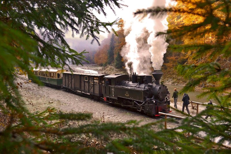 Steam Train in Forest — Green, Serene, Autumn, Photograph, Trees, River