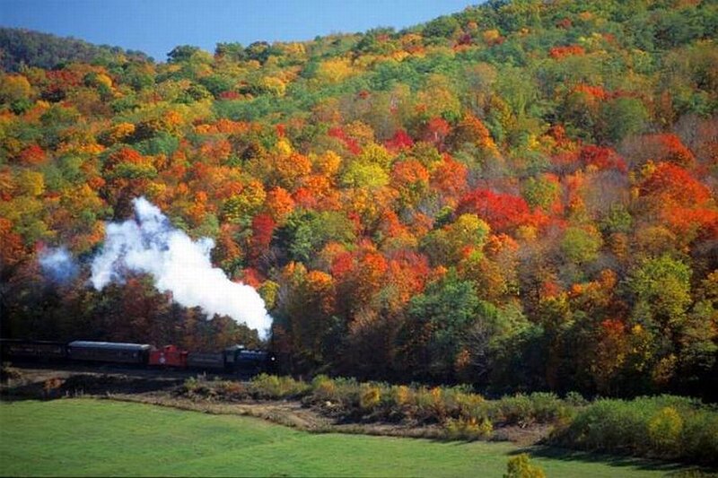 Steam Train in Forest — Green, Serene, Autumn