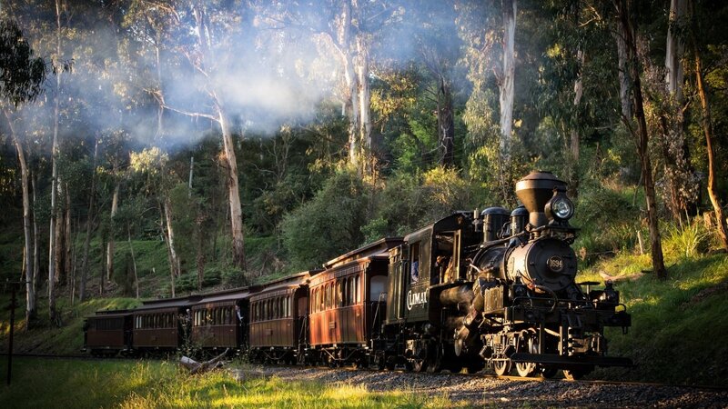 Steam Train in Forest — Green, Serene, Morning