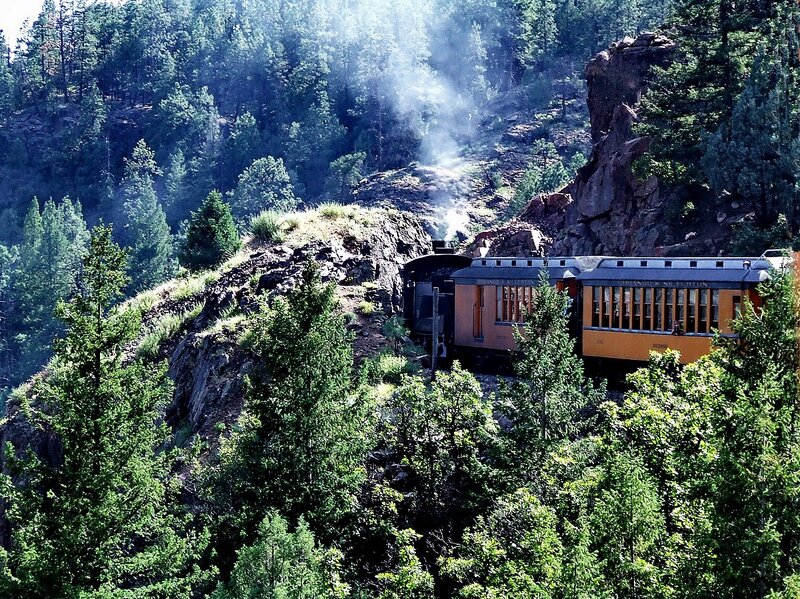 Steam Train in Forest — Green, Serene