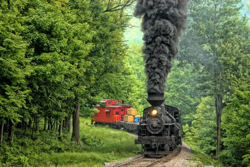 Steam Train in Forest — Green