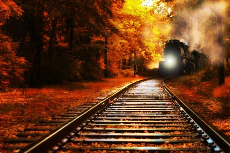 Steam Train in Forest — Orange, Dramatic, Autumn, Photograph