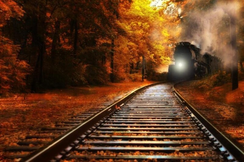 Steam Train in Forest — Orange, Dramatic, Autumn, Photograph, Tracks