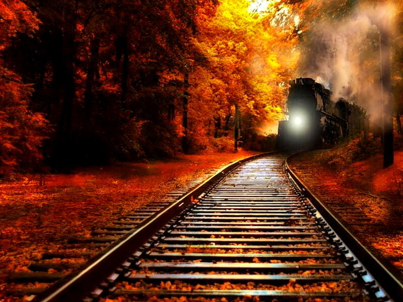 Steam Train in Forest — Orange, Dramatic, Autumn