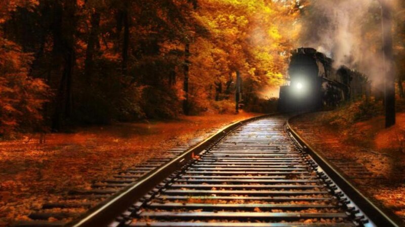 Steam Train in Forest — Orange, Dramatic