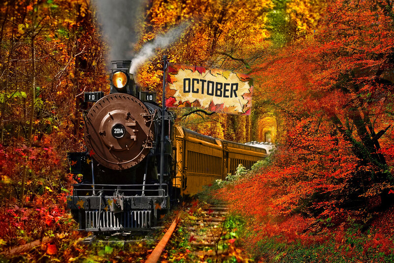 Steam Train in Forest — Orange, Vibrant