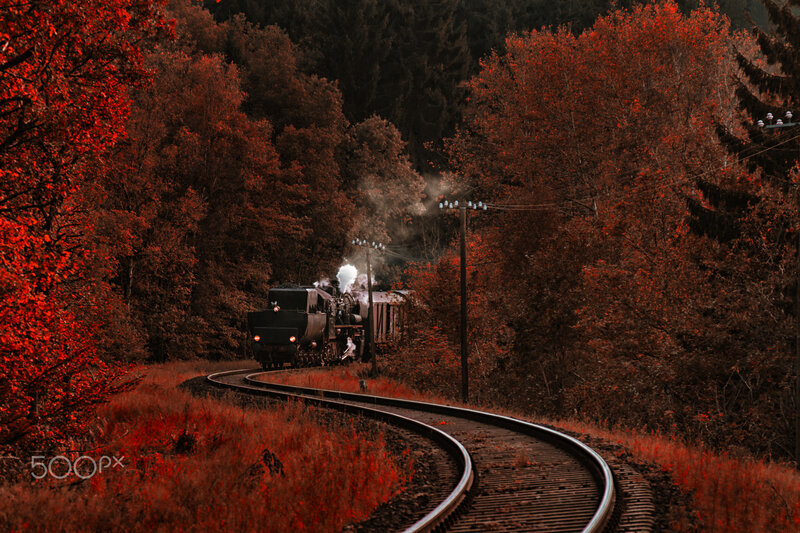 Steam Train in Forest — Red