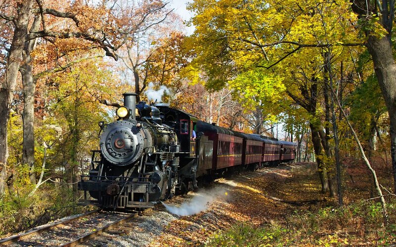 Steam Train in Forest — Yellow, Serene, Autumn