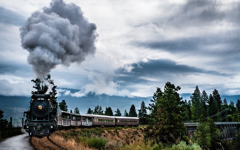 Steam train in forested landscape