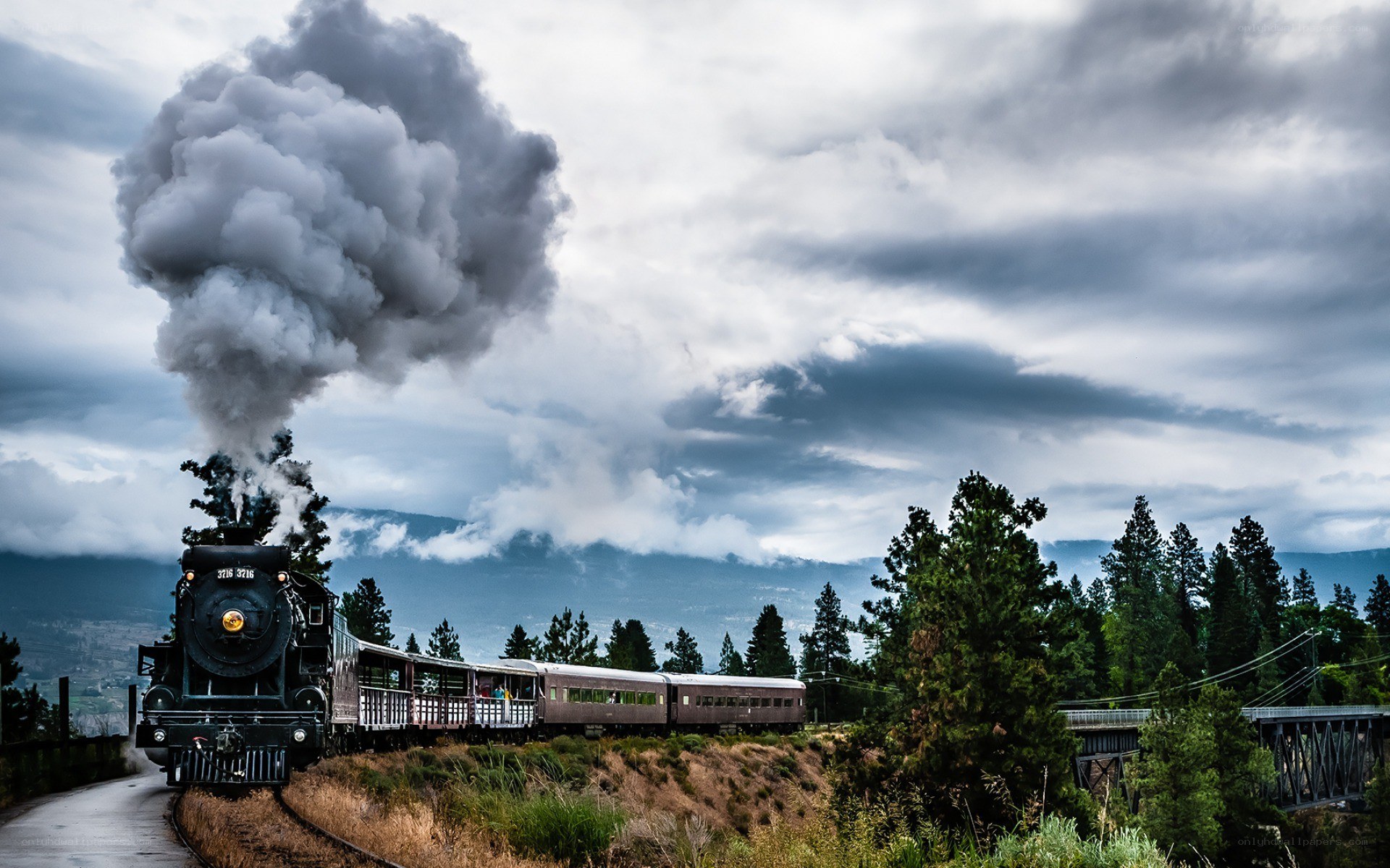 Steam train in forested landscape