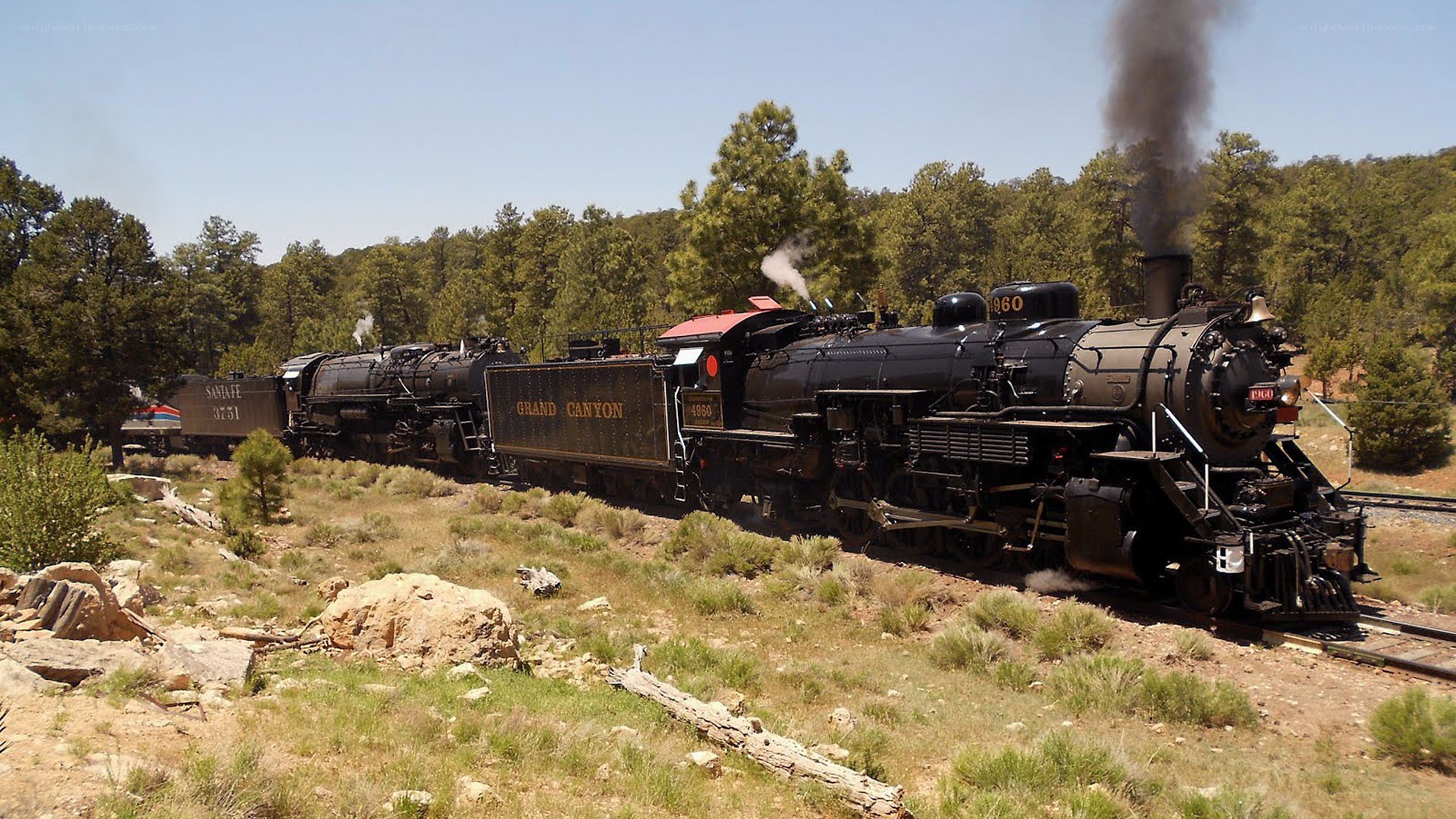 Steam train in forested landscape