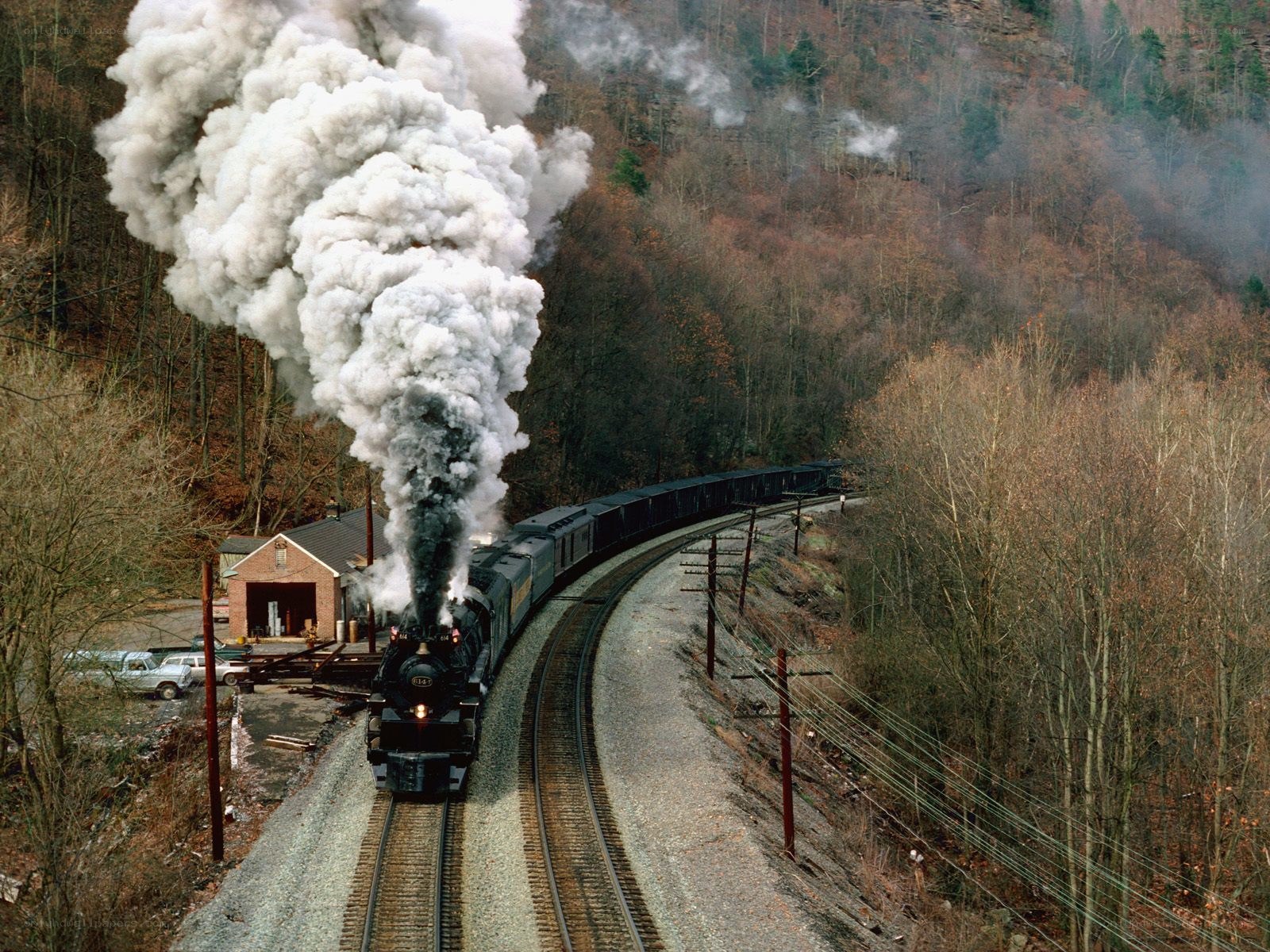 Steam train in forested valley