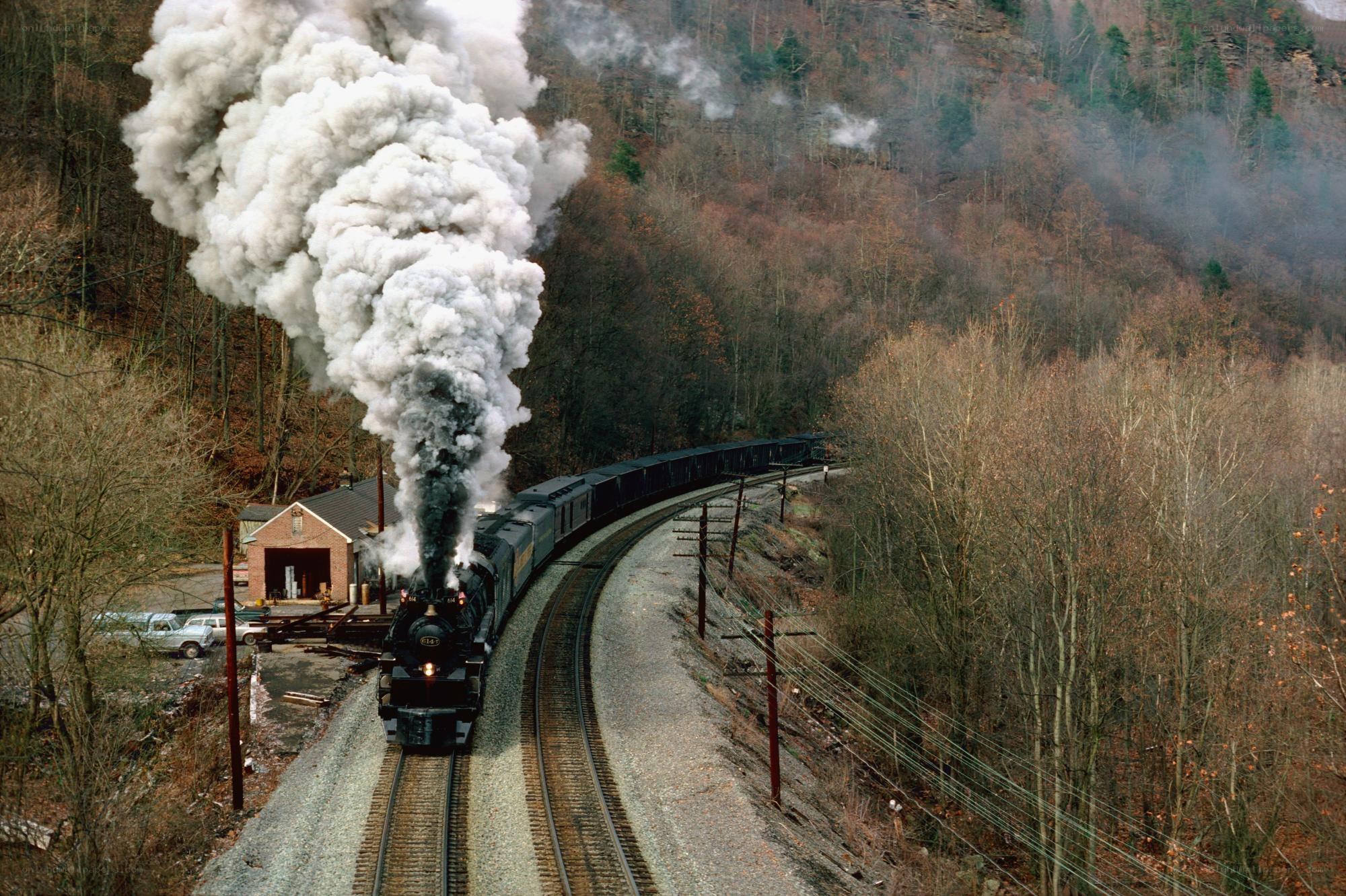 Steam train in forested valley
