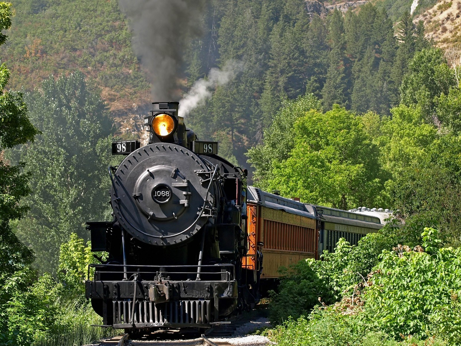 Steam train in forested valley