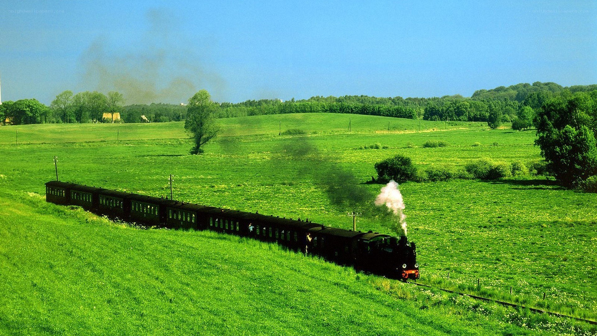 Steam train in green fields