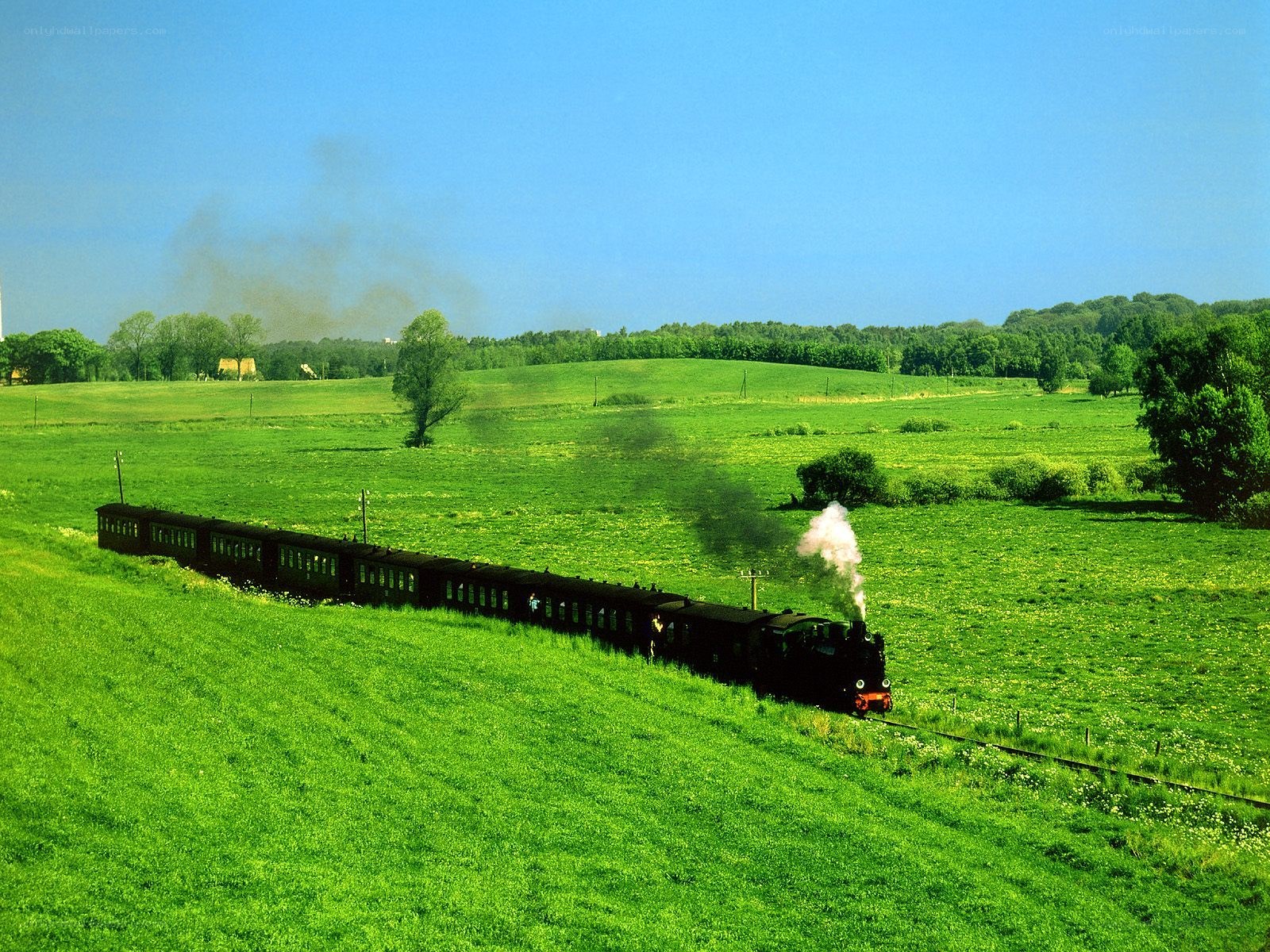 Steam train in green fields