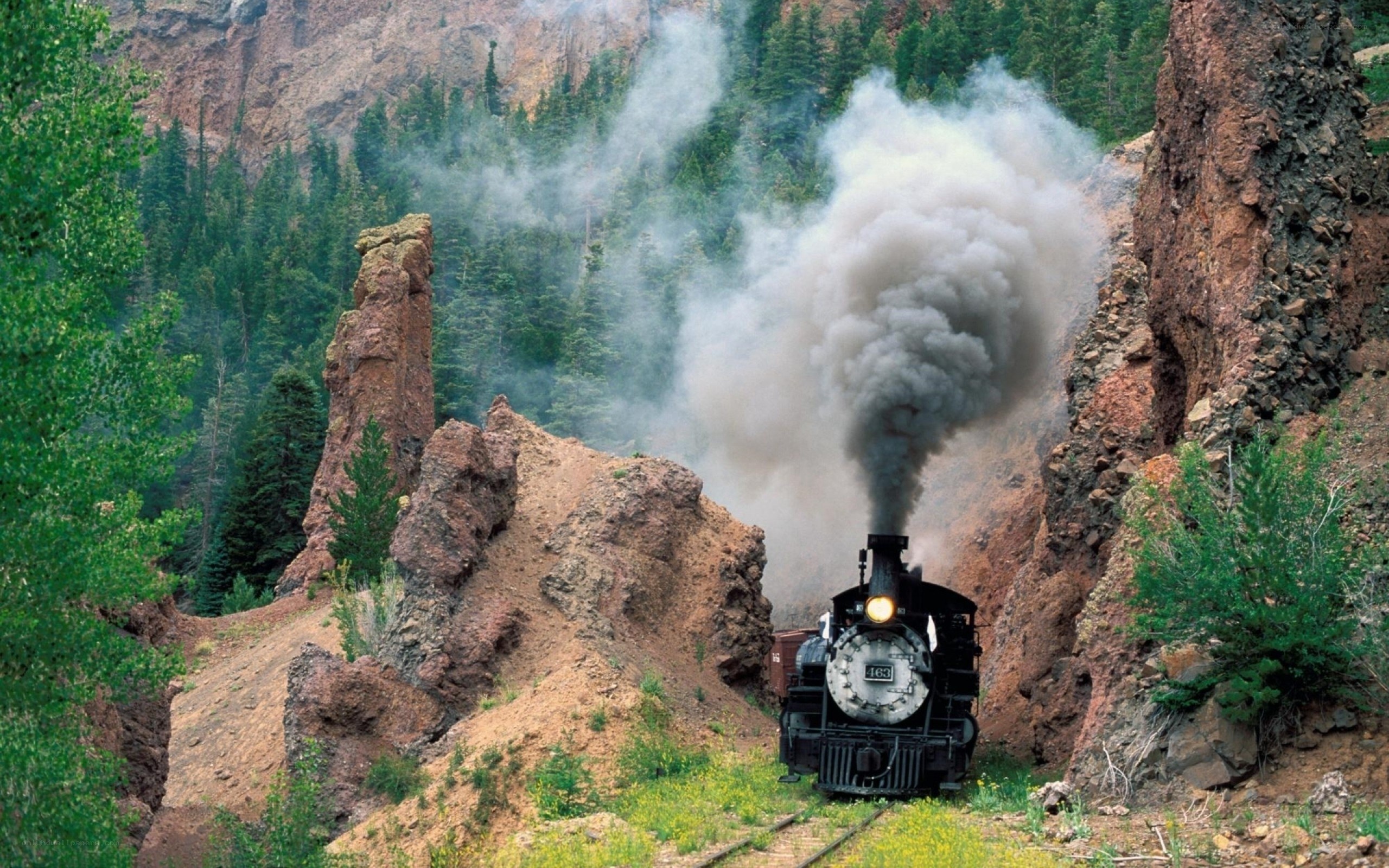 Steam train in mountain canyon