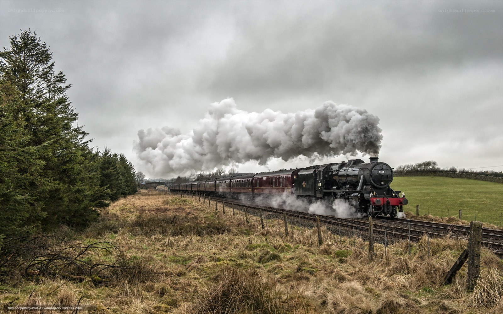 Steam train in rural landscape