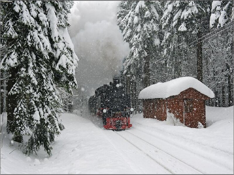 Steam Train in Snow — White, Cold, Winter, Photograph, Snow-covered Trees