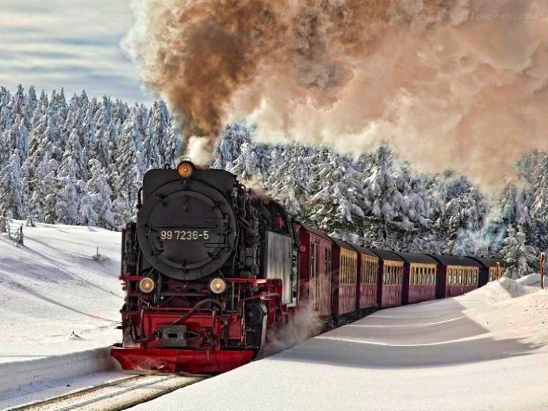 Steam train in snowy forest