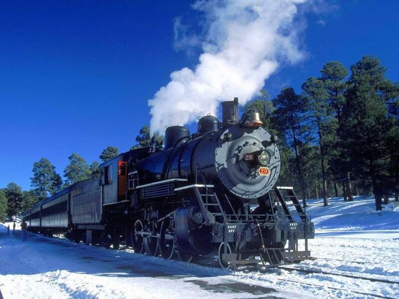 Steam train in snowy forest