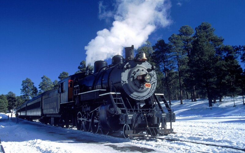 Steam train in snowy forest