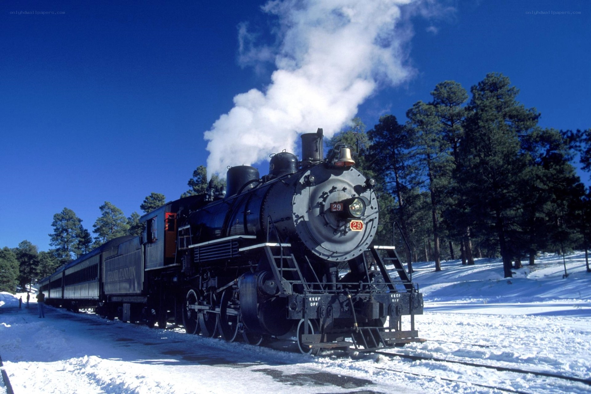 Steam train in snowy forest