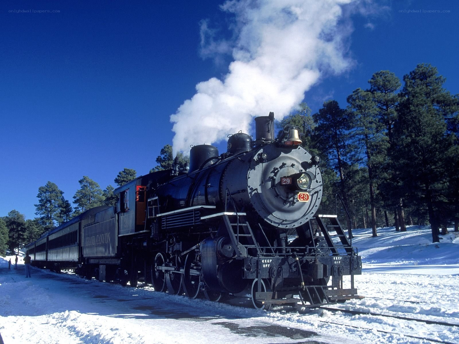 Steam train in snowy forest