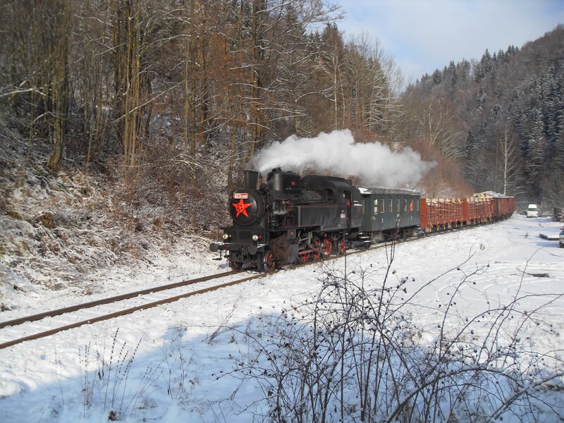 Steam train in snowy forest