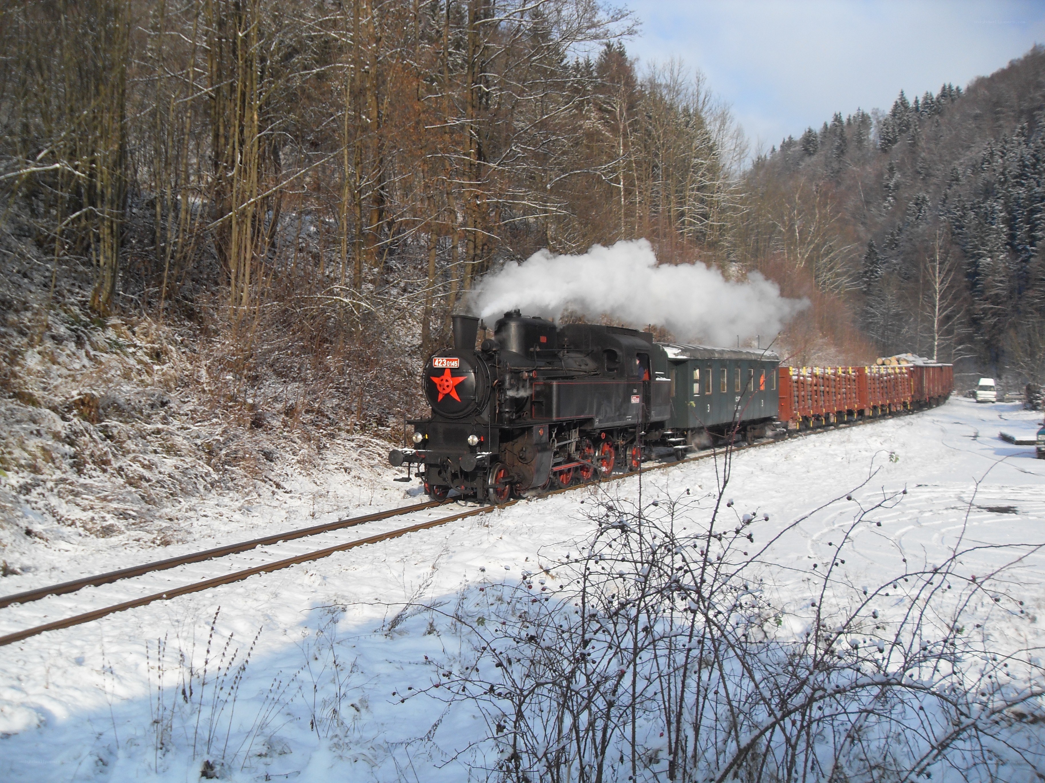 Steam train in snowy forest