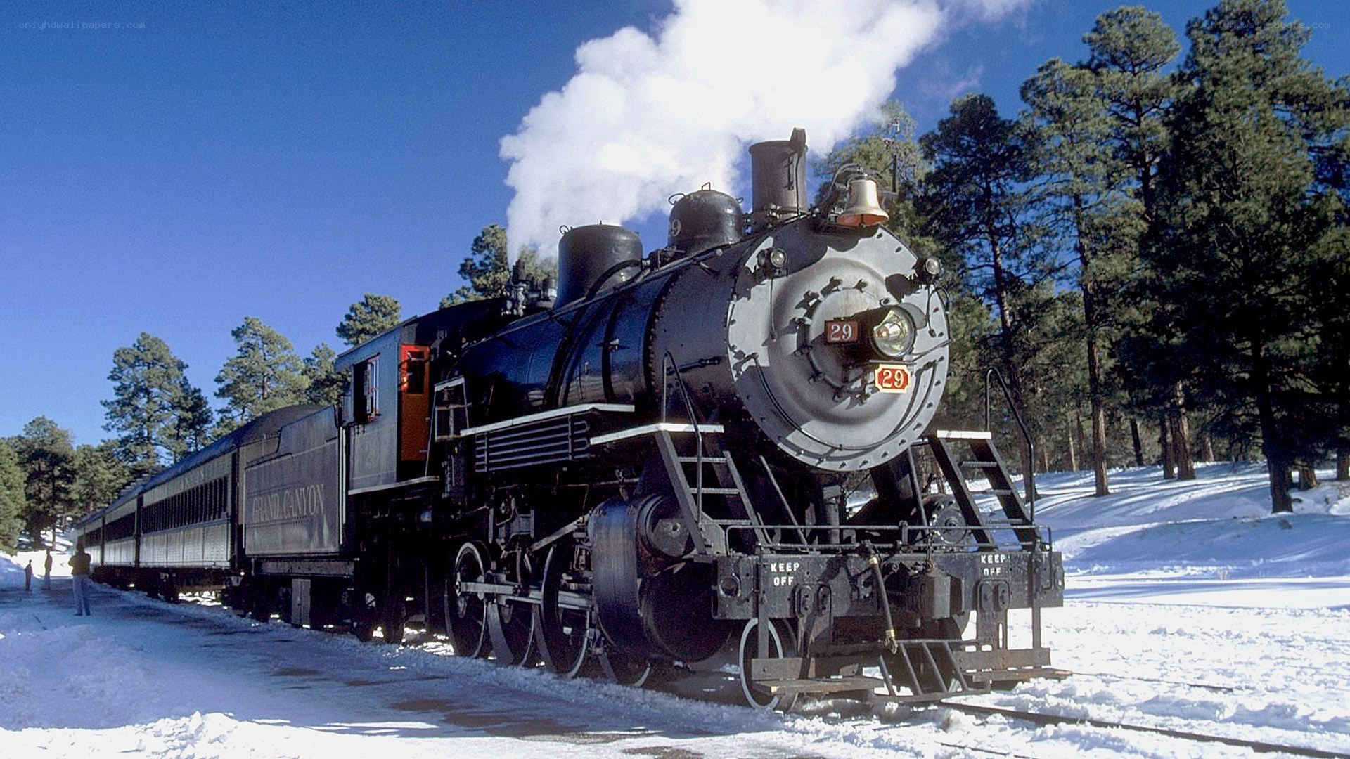 Steam train in snowy forest