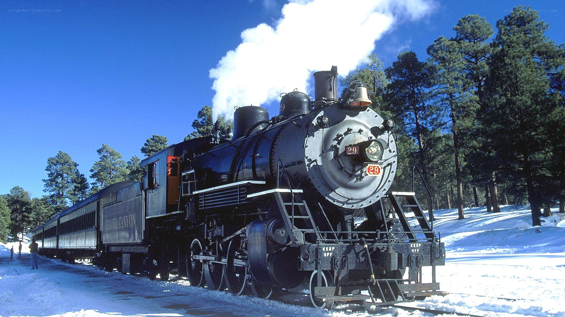 Steam train in snowy forest