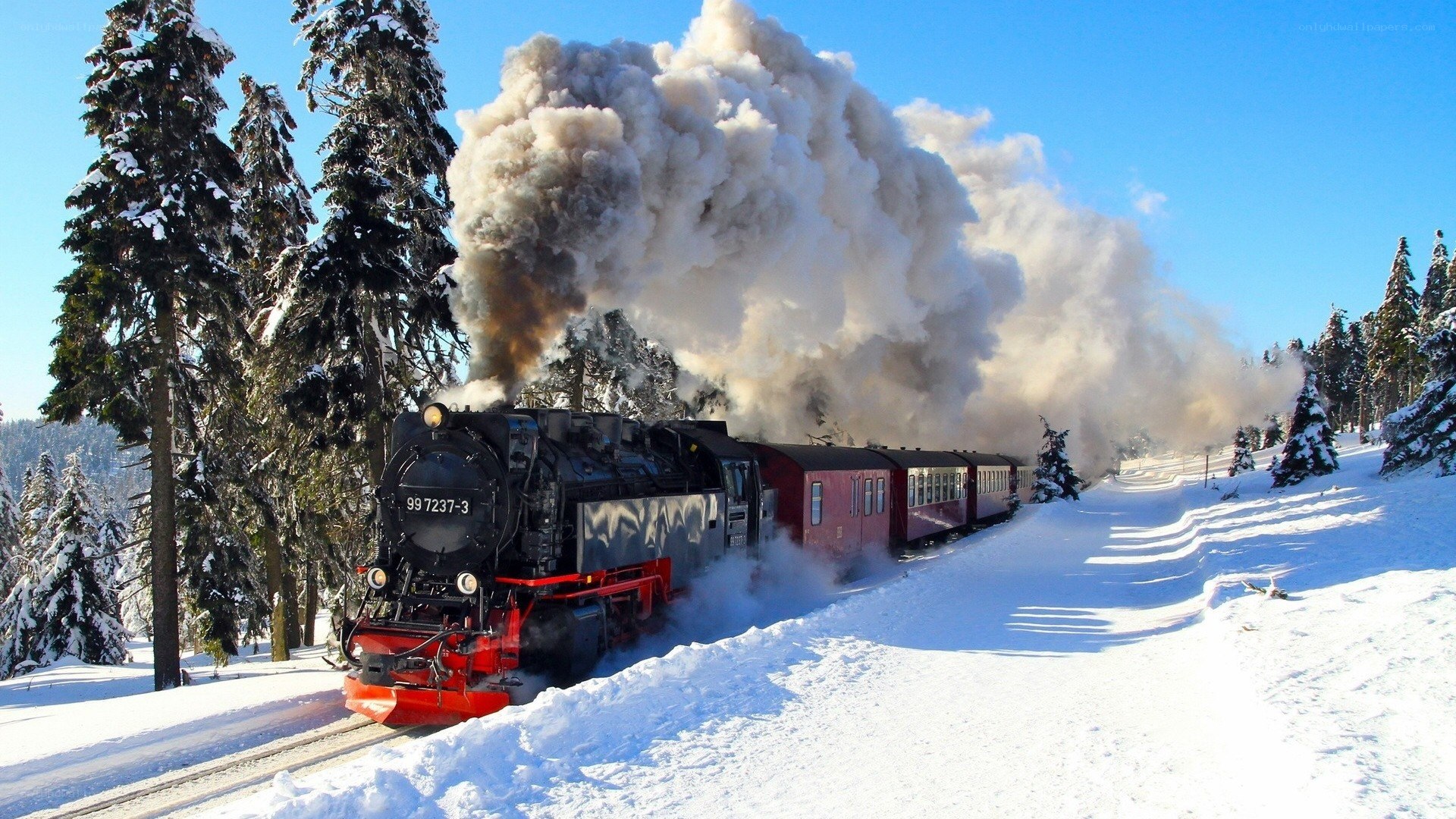 Steam train in snowy forest