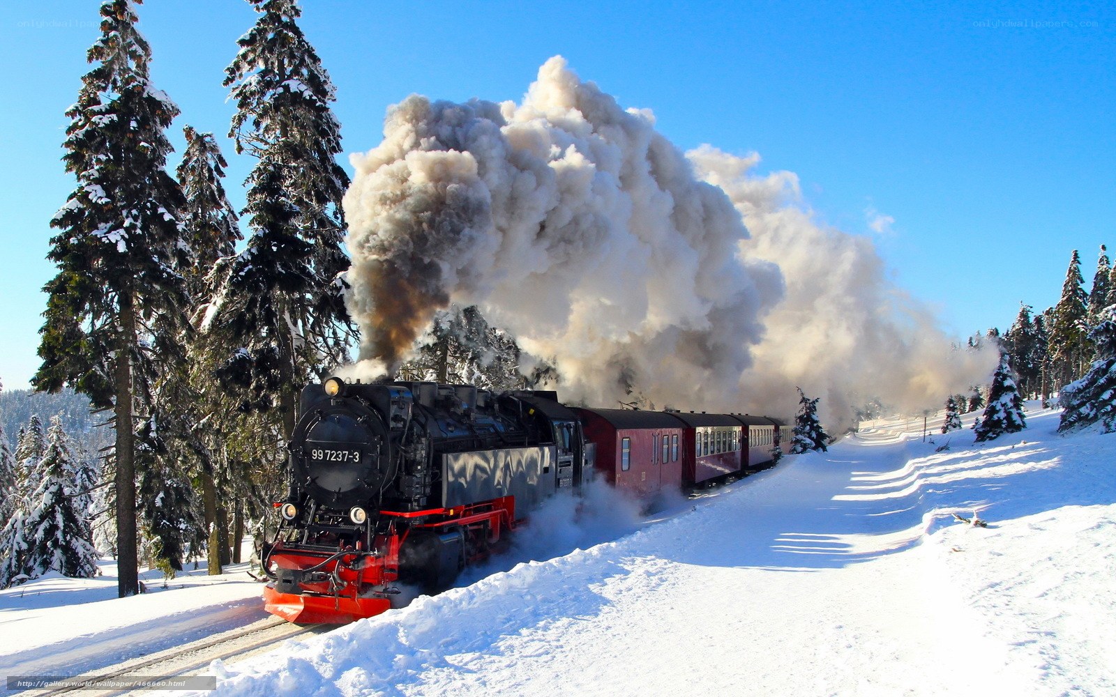 Steam train in snowy forest