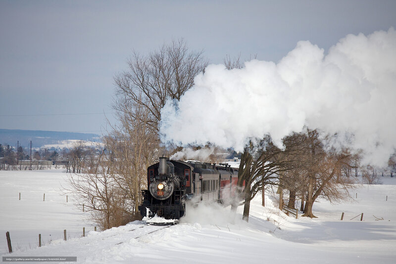 Steam train in winter landscape