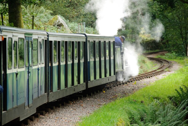 Steam train on a forest track