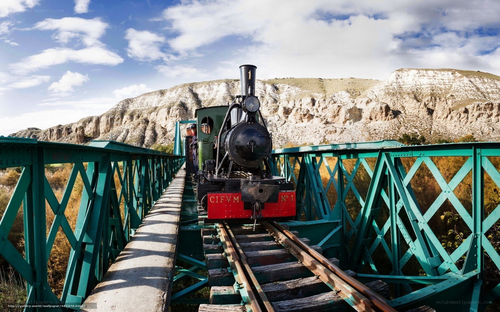Steam train on a green bridge