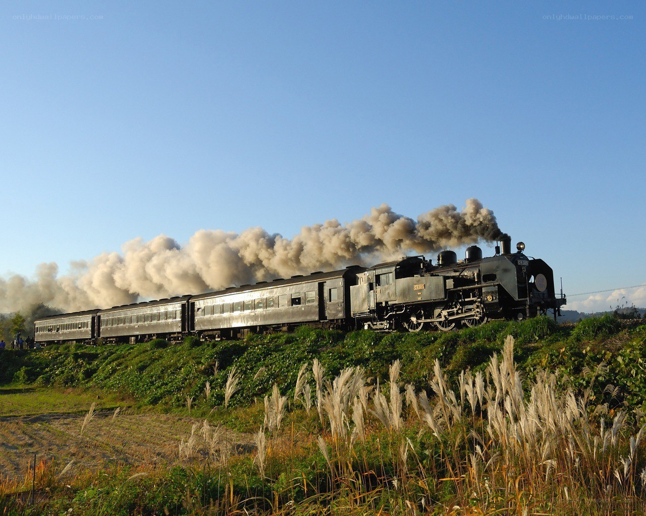 Steam train on a rural track