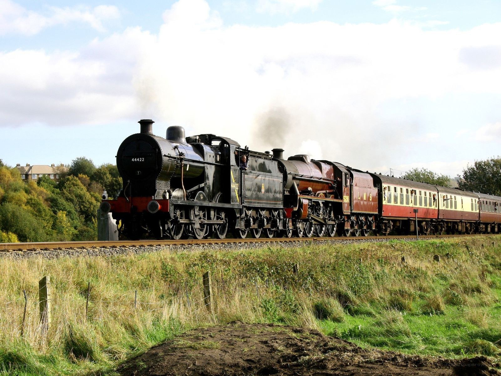 Steam train on a rural track