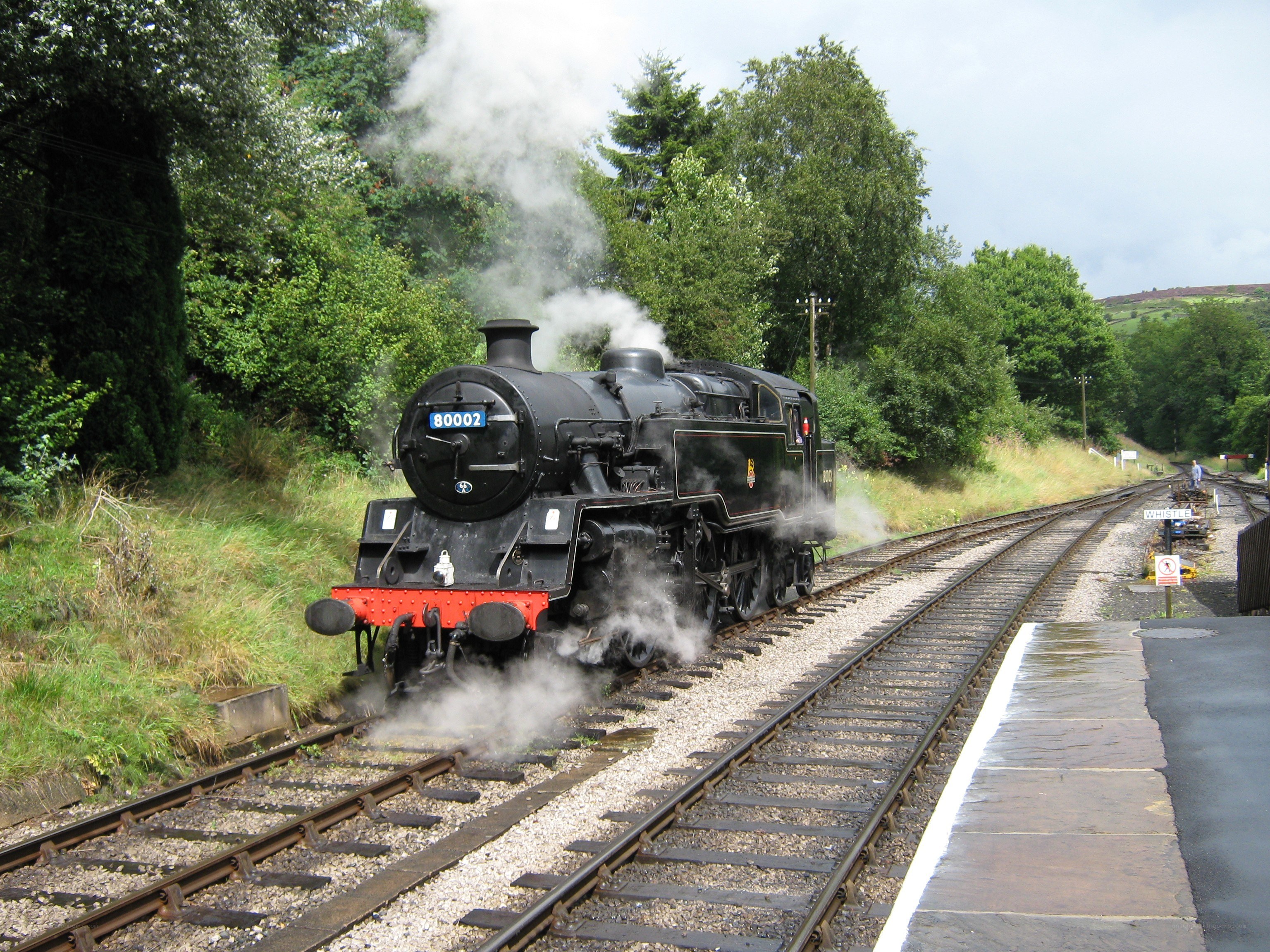 steam train on a rural track