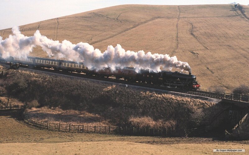 Steam Train on Hillside — Brown