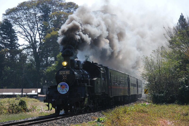 Steam Train on Tracks — Black, Dramatic, Afternoon, Photograph, Smoke, Trees