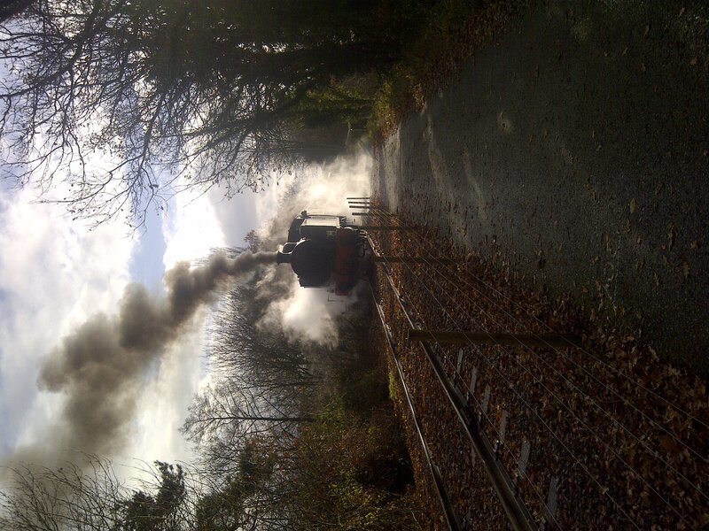 Steam Train on Tracks — Gray, Dramatic, Autumn