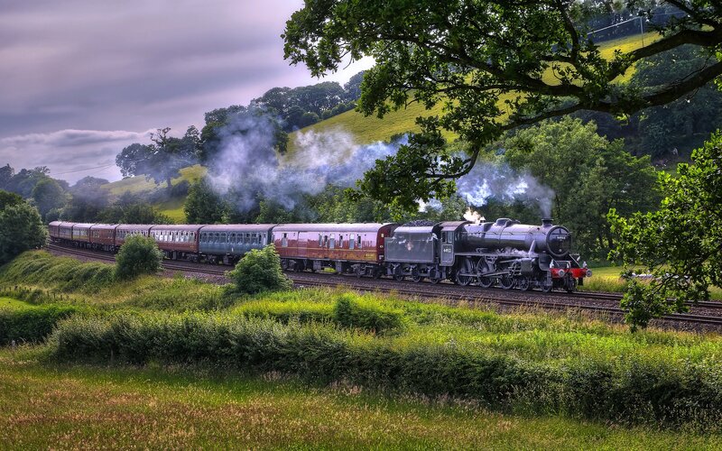 Steam Train on Tracks — Green, Dramatic, Afternoon, Photograph