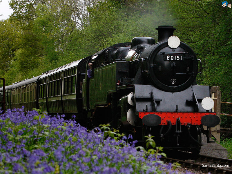 Steam Train on Tracks — Green, Serene, Spring