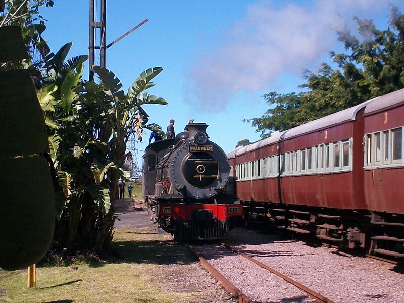 Steam Train on Tracks — Red, Serene