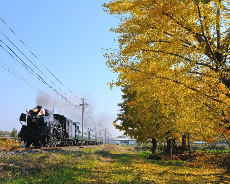 Steam Train on Tracks — Yellow, Serene