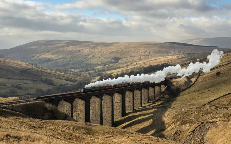 Steam Train on Viaduct — Brown, Dramatic