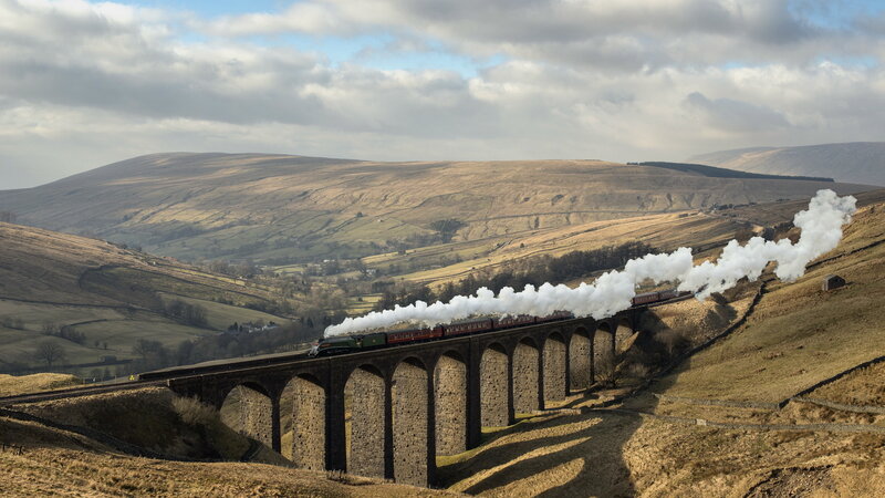 Steam Train on Viaduct — Brown
