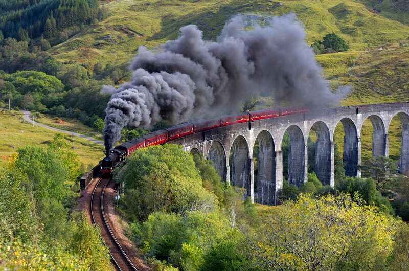 Steam Train on Viaduct — Green, Dramatic, Afternoon, Photograph